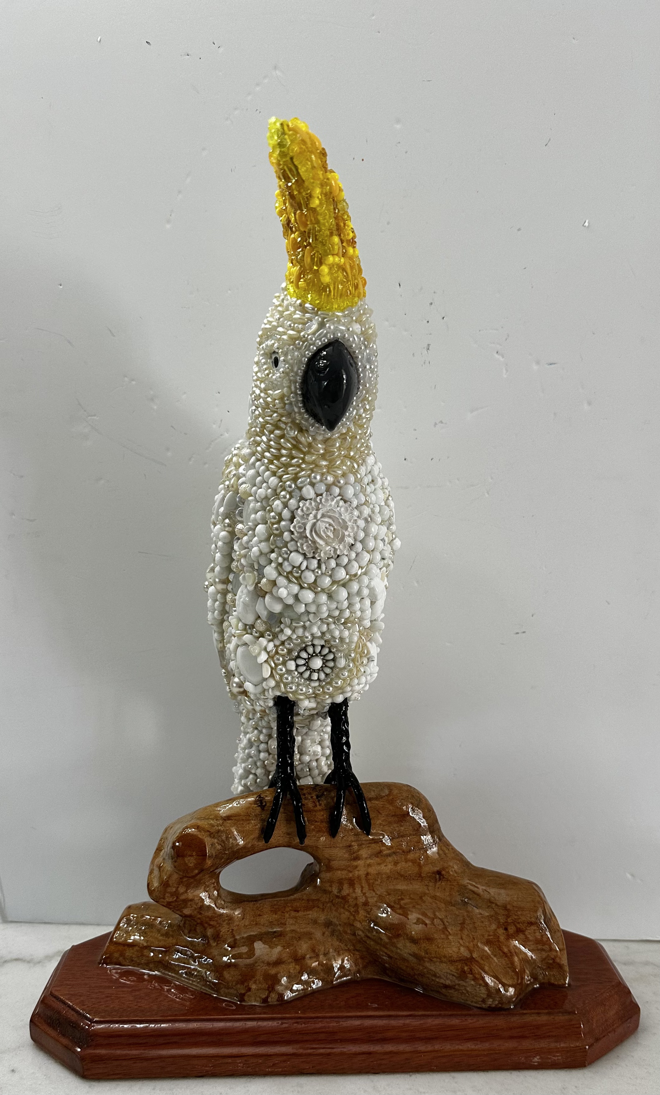 Bird Cockatiel "Barretta's Pal"