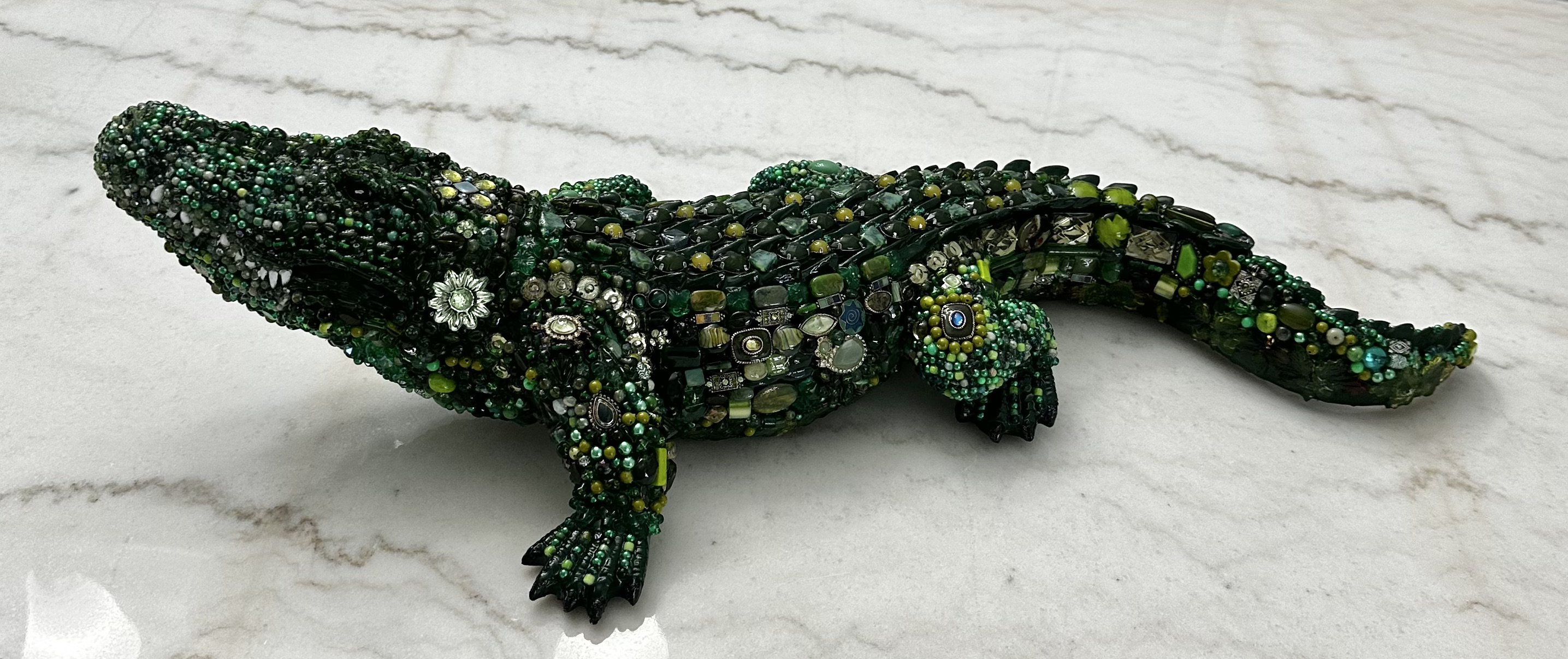 Alligator 